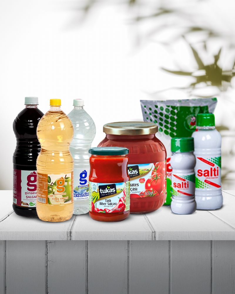 TEMEL GIDA TEMEL GIDA